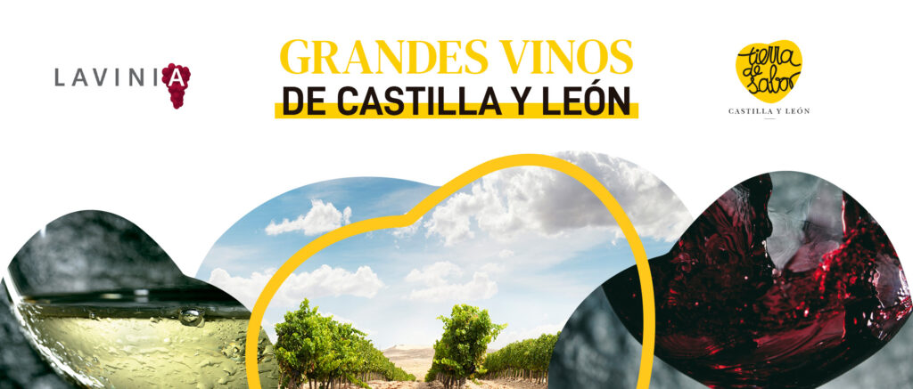 Vinos de Castilla y León en las Vendimias de Ortega y Gasset