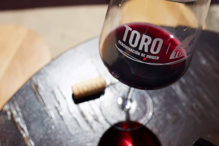 D.O. Toro, el vino que descubrió América
