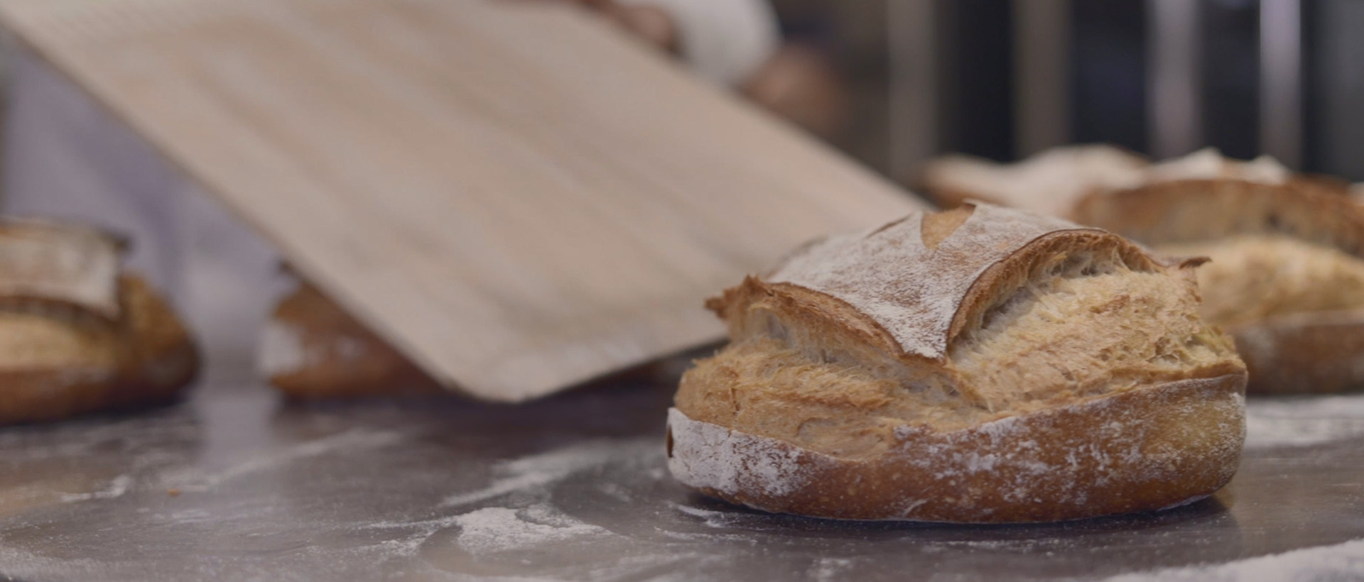 El origen e historia del pan