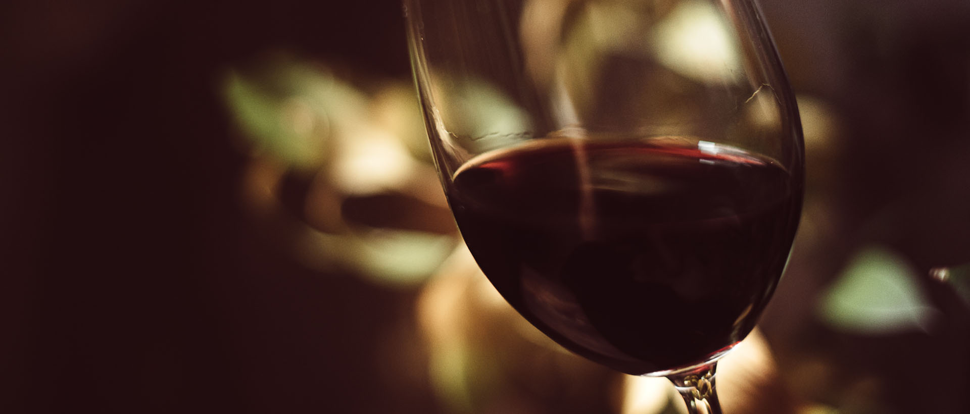 Tierra de Sabor participa en la Barcelona Wine Week 2024