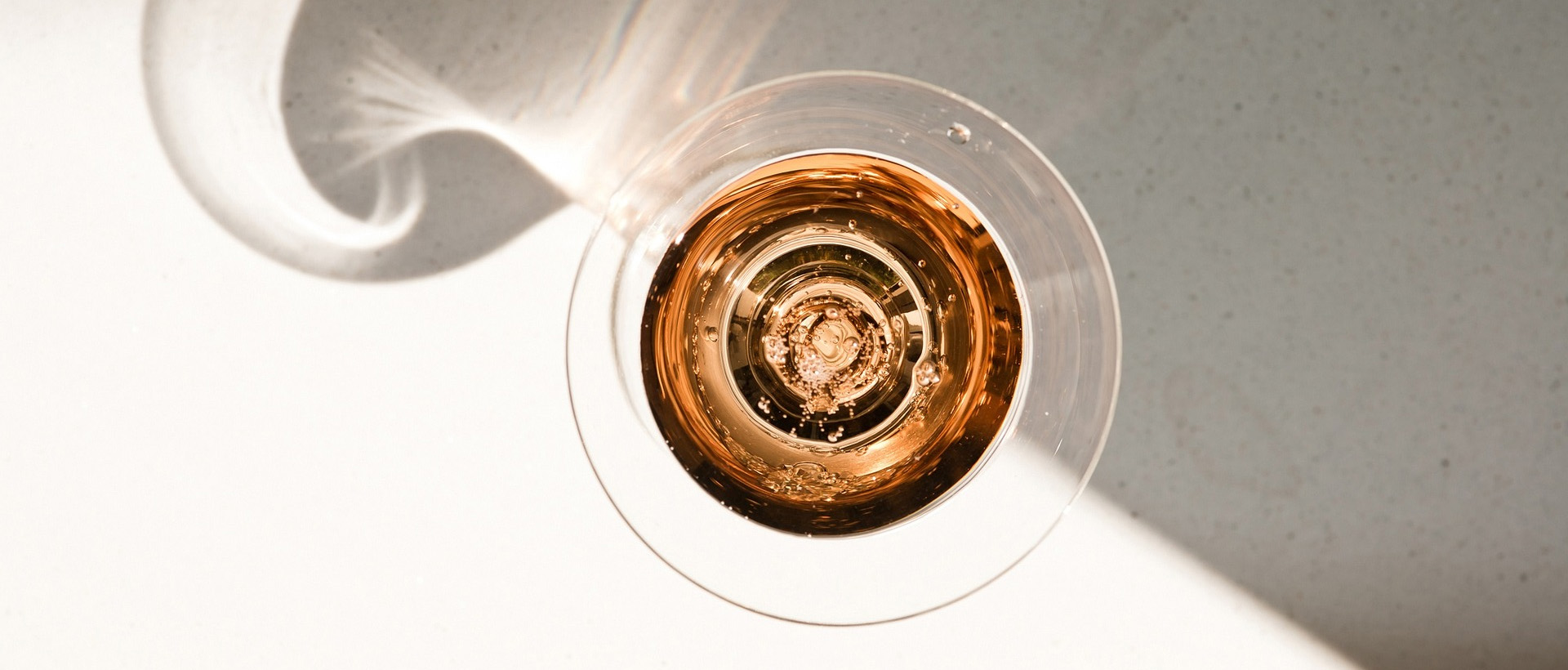 D.O. Cigales: el esplendor de sus vinos y la filoxera en Francia